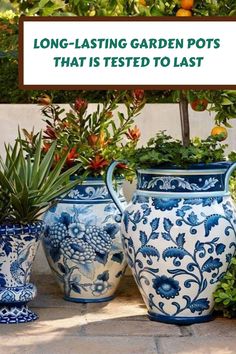 several blue and white vases with plants in them