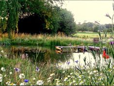 there is a small wooden dock in the middle of some flowers and grass next to a body of water