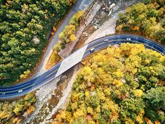 an aerial view of a road in the middle of some trees with yellow and orange leaves