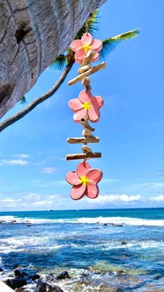 pink flowers hanging from a tree near the ocean