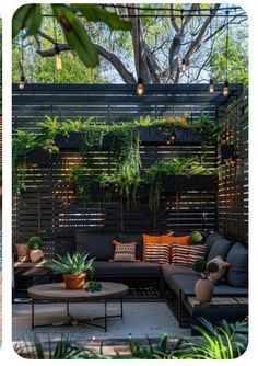 an outdoor living area with couches, tables and potted plants