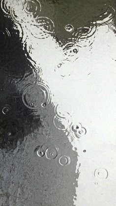 raindrops are falling on the ground and reflecting in the water's surface