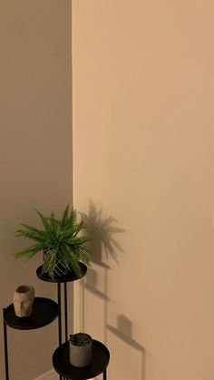 two small tables with plants on them against a wall in the corner of a room