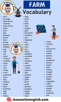 Agriculture Animals, What Do Farm Animals Eat, Cow Knowledge, What Do Farm Animals Give Us, Crops Farm, Animal Farm Revision, Farm Vocabulary, English Farm, Words List