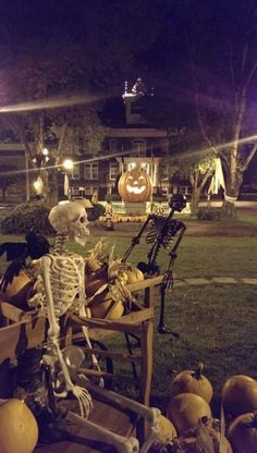 a skeleton sitting in a wagon with pumpkins on the ground next to it at night