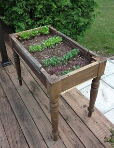 a wooden table with plants growing in it