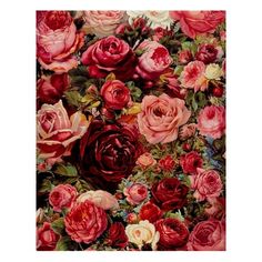 a painting of red and pink roses on a white background with green leaves in the center