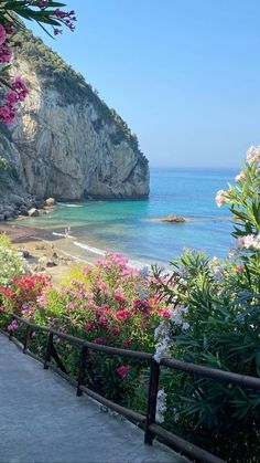 flowers line the side of a path next to an ocean and rocky cliff with a beach in the background