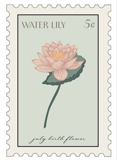 a postage stamp with a pink flower on it's front and the words, water lily