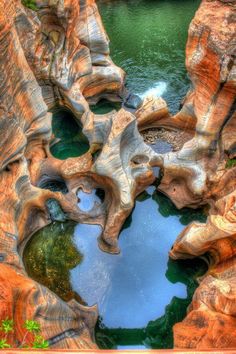 an unusual rock formation with water in the middle and trees growing out of it's sides