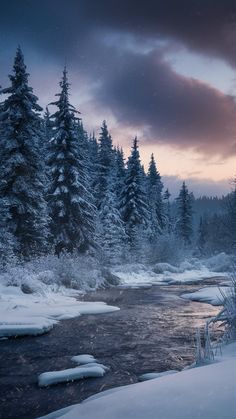 a river running through a snow covered forest next to tall pine trees in the distance