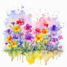 watercolor painting of colorful flowers in the grass with splashing paint on white background