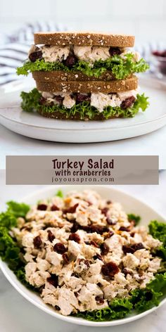 turkey salad with cranberries and lettuce