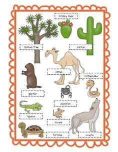 a poster with animals and cactuses in the background, including an orange scallop border