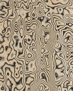 an abstract pattern made up of black and white lines on wood grained paper,