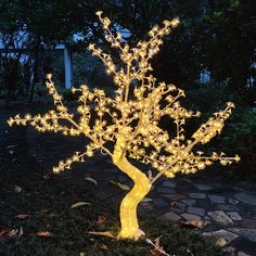 a lighted tree in the middle of a yard