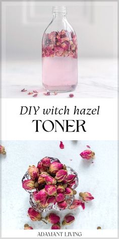 DIY Witch Hazel Toner - Do you want to make your own natural, herbal toner? Look no further than DIY Witch Hazel Toner! This homemade skin care recipe is a natural remedy that can provide numerous skin toner benefits like, restoring balance and hydration to skin. Witch hazel has been used for centuries as a natural skin care ingredient, with a variety of DIY beauty uses. Learn how to make your own Witch Hazel Face Toner with roses with this simple recipe! Skin Toner Benefits, Witch Hazel Benefits, Diy Witch Hazel, Toner Diy, Diy Toner, Diy Witch, Witch Hazel Toner, Natural Skin Care Ingredients, Witch Diy