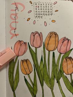 a drawing of pink and yellow tulips in front of a calendar