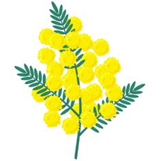 a bunch of yellow flowers with green leaves on a white background in an illustration style