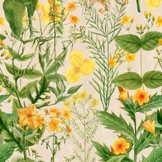 a painting of yellow flowers and green leaves