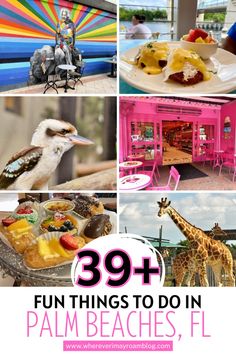 the collage shows different things to do in palm beaches, fl