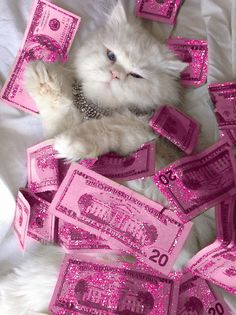 a white cat laying on top of a bed covered in pink paper money bills with the caption, i love you