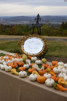 pumpkins and gourds are on the table with a sign that says, i am not afraid to miss you