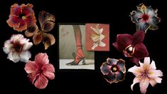 there are many different flowers and pictures on the black background, including one with high heels