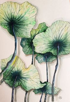 three green leafy plants are shown in this watercolor style painting on white paper