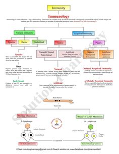 the family tree is shown in this diagram