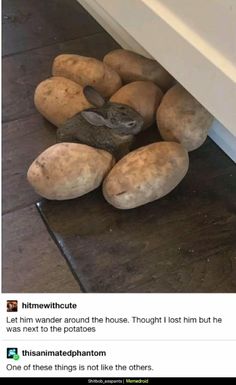 a bunch of bread that is laying on the ground next to a wall and door