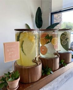 three jars filled with different types of drinks sitting on top of a wooden shelf next to potted plants