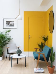 a living room filled with furniture and potted plants next to a yellow door on the wall