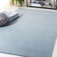 a blue rug in the middle of a room with a mirror and plant on it