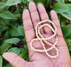 Tulsi Necklace,Tulasi kanthimala,Handmade tulsi Kanthimala , necklace - hare krishna kanthi mala, jay Shri radhe Mala necklace hare krishna kanthi mala, jay Shri Krishna, Pure Tulasi Krsna,Krishna,Tulsi,Tulasi kanthimala,kanti,mala,necklace,Radhe Radhe,Meditation Mala,Kanthimala Tulasi,beads Mala,Spiritual thingsbeads,choker,color,black,dyed,hare Krsna,Krishna,Tulsi,Tulasi kanthimala,kanti,mala,necklace,Radhe Radhe,Meditation Mala,Kanthimala Tulasi,beads Mala,Spiritual thingsbeads,choker,color,b Traditional White Necklace For Healing, Spiritual Wooden Beads Necklace For Puja, Wooden Beads Necklace For Meditation And Festivals, Wooden Beads Necklaces For Meditation And Festivals, Healing Wooden Beads Jewelry For Festivals, White Temple Jewelry Mala For Puja, Handmade White Spiritual Temple Necklace, Spiritual Tiny Beads Jewelry For Festivals, Temple Jewelry Necklace Hand-strung For Gift