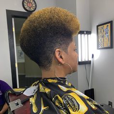 Curly High Top Fade Black Women, Women Tapered Haircut African Americans, Tapered Natural Hair 4c Haircuts, Short Afros, Tapered Afro