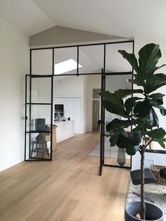 a living room filled with furniture and a potted plant on top of a hard wood floor