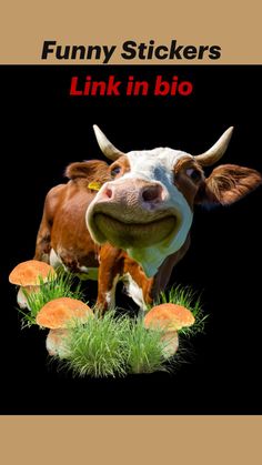 a cow standing in the grass next to some mushrooms and green grass with its mouth open