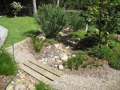 there is a small garden with rocks and plants in the yard, along with a wooden walkway