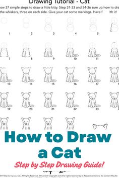 how to draw a cat step by step drawing guide with instructions for beginners and children