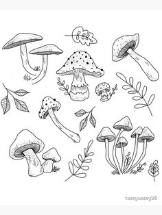 an ink drawing of mushrooms and leaves