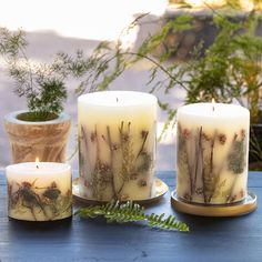 three candles sitting on top of a wooden table next to potted plants and greenery