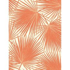 Aruba Wallpaper from the Tortuga Collection by Seabrook Wallcoverings Orange Wallpaper Bathroom, Aruba Wallpaper, Palm Leaf Wallpaper, Faux Grass, Makeup List, Drops Patterns, W Wallpaper, Tropical Wallpaper, Deep Orange