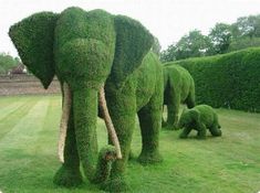 two elephants made out of plants in the grass