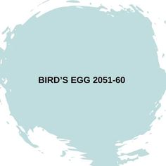 the words bird's egg on a blue background