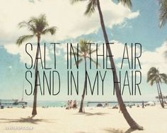 palm trees on the beach with text saying salt in the air sand in my hair