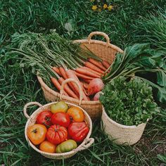 several baskets filled with vegetables sitting on the ground next to each other in tall grass