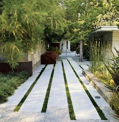 an outdoor garden with grass and trees