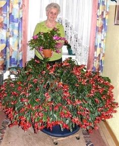 an older woman is holding a potted plant