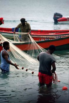 several men are in the water with fishing nets